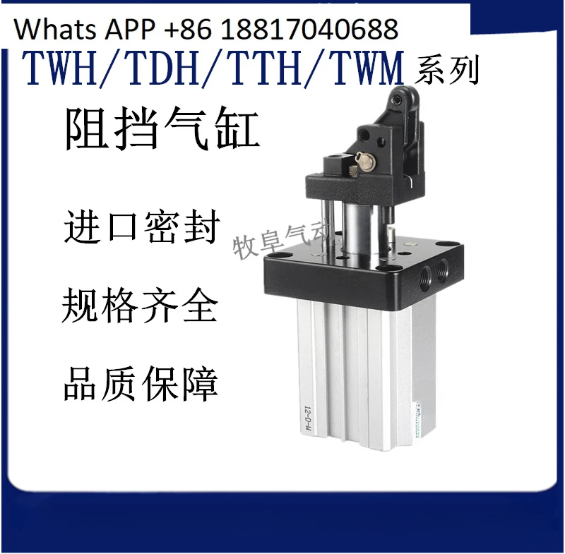 

Barrier cylinder TDH TTH TWH SDAT 20 25 32 40 50 63 80X15X20SKF