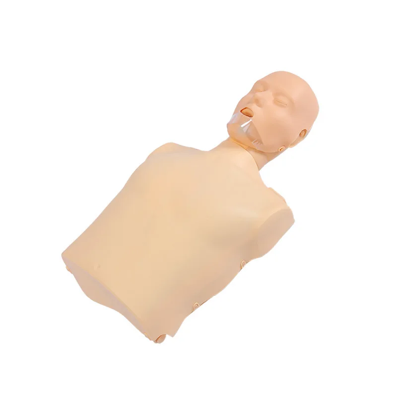 

Cardiopulmonary resuscitation simulator dummy, medical mannequin, first aid training, artificial respiration eraser