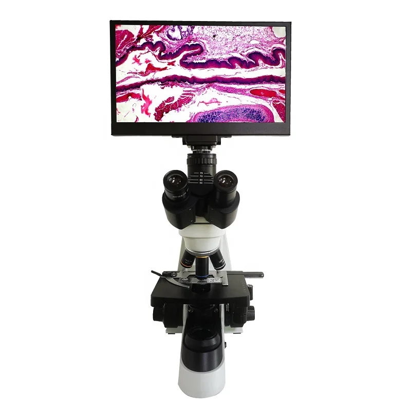 Boshida BD-SW1001 1000X trinocular compound biological microscope with 13 inch LCD screen and built-in camera can save video