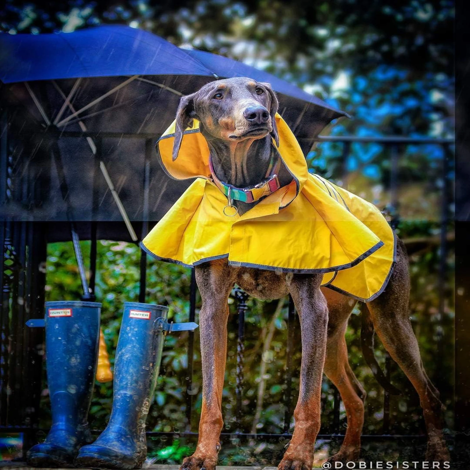 Bright Yellow XXL Rainy Day Coat - Ultimate Protection Against Elements - Top-Quality Shield from Rain