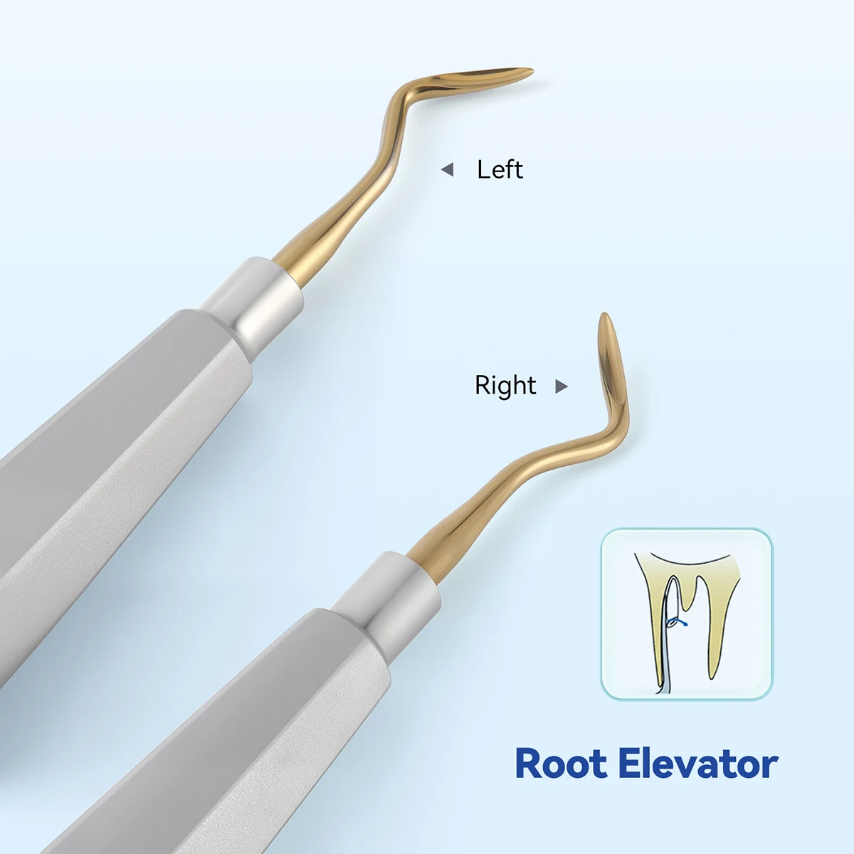 1Pc AZDENT Dental Aufzug Edelstahl Zahnarzt Chirurgische Instrument Zahn Extraktion Gerade Dreieckige Zähne Aufzug – Detail 4