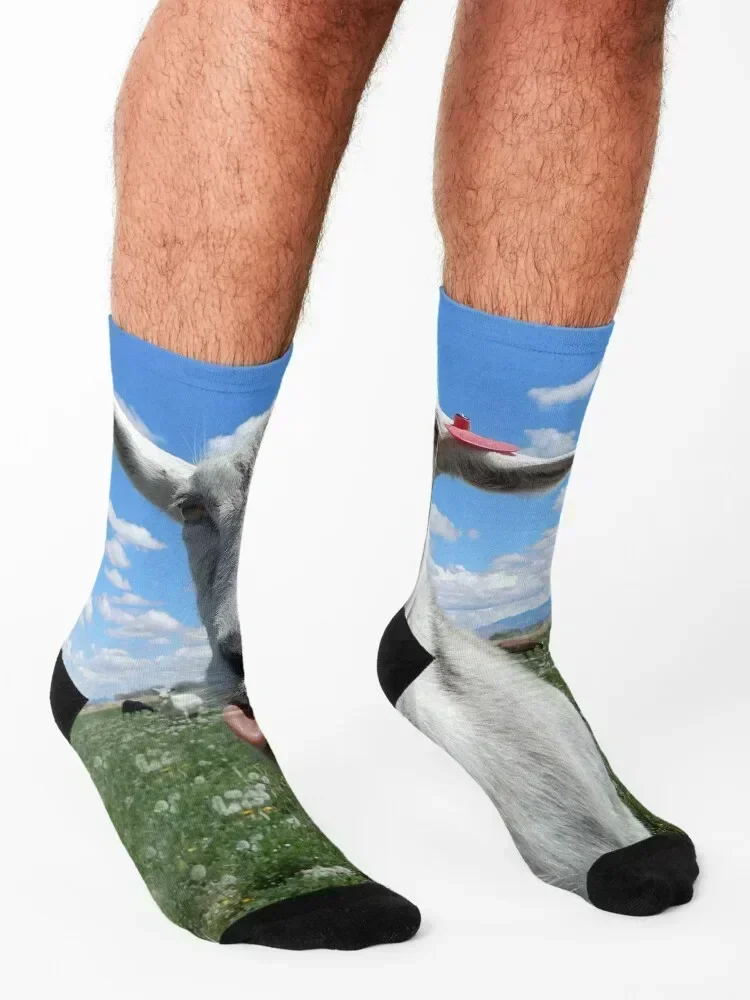 goat kisses, goat tongue Socks anti slip football basketball christmass gift Children's Ladies Socks Men's
