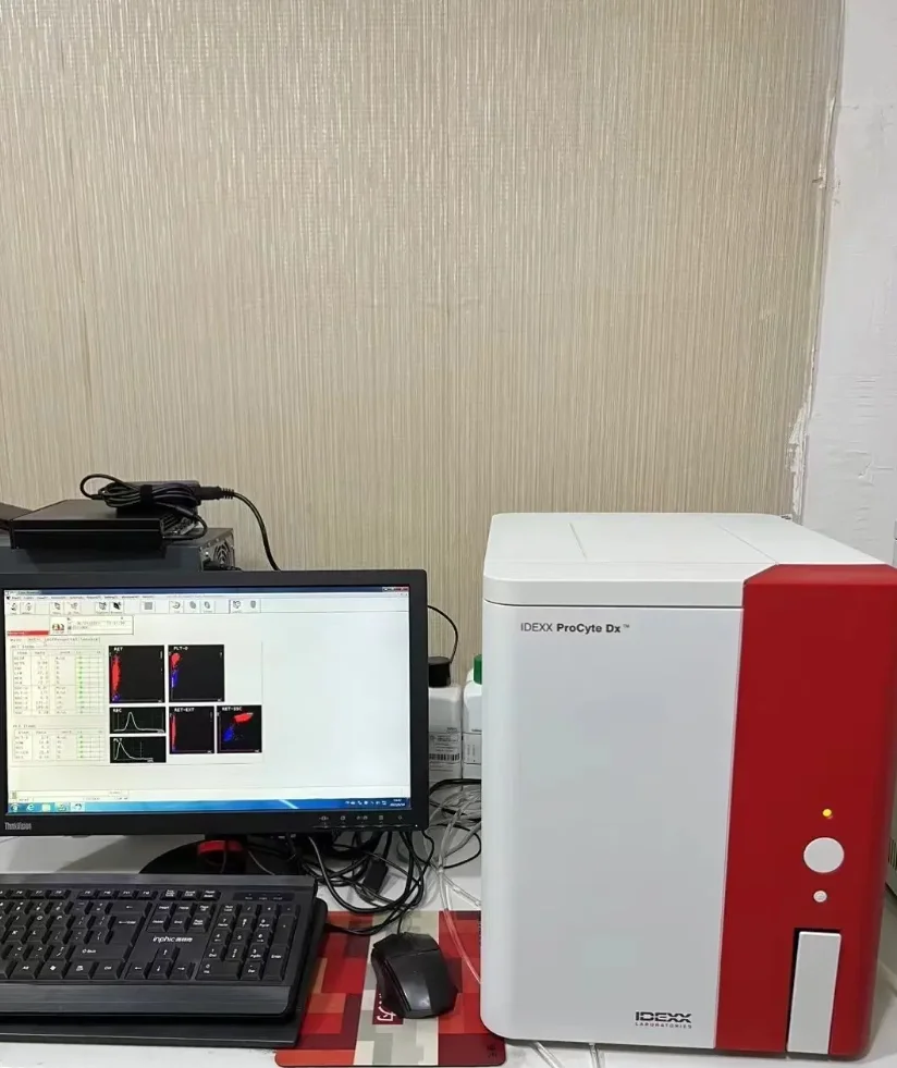 Analizzatore ematologico automatico per emocitometro animale usato per la diagnosi