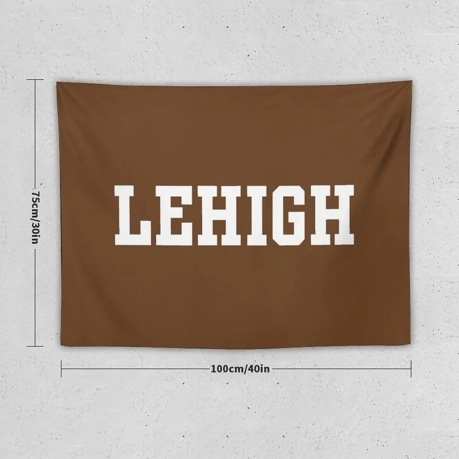 Lehigh Mountain Hawks Wordmark Tapestry Living Room Decoration Room Decor Tapestry