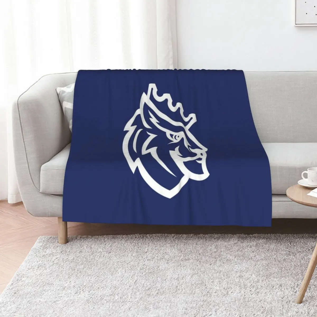 

Queens University of Charlotte Throw Blanket Shaggy Blankets For Baby Decorative Beds Furry Blankets