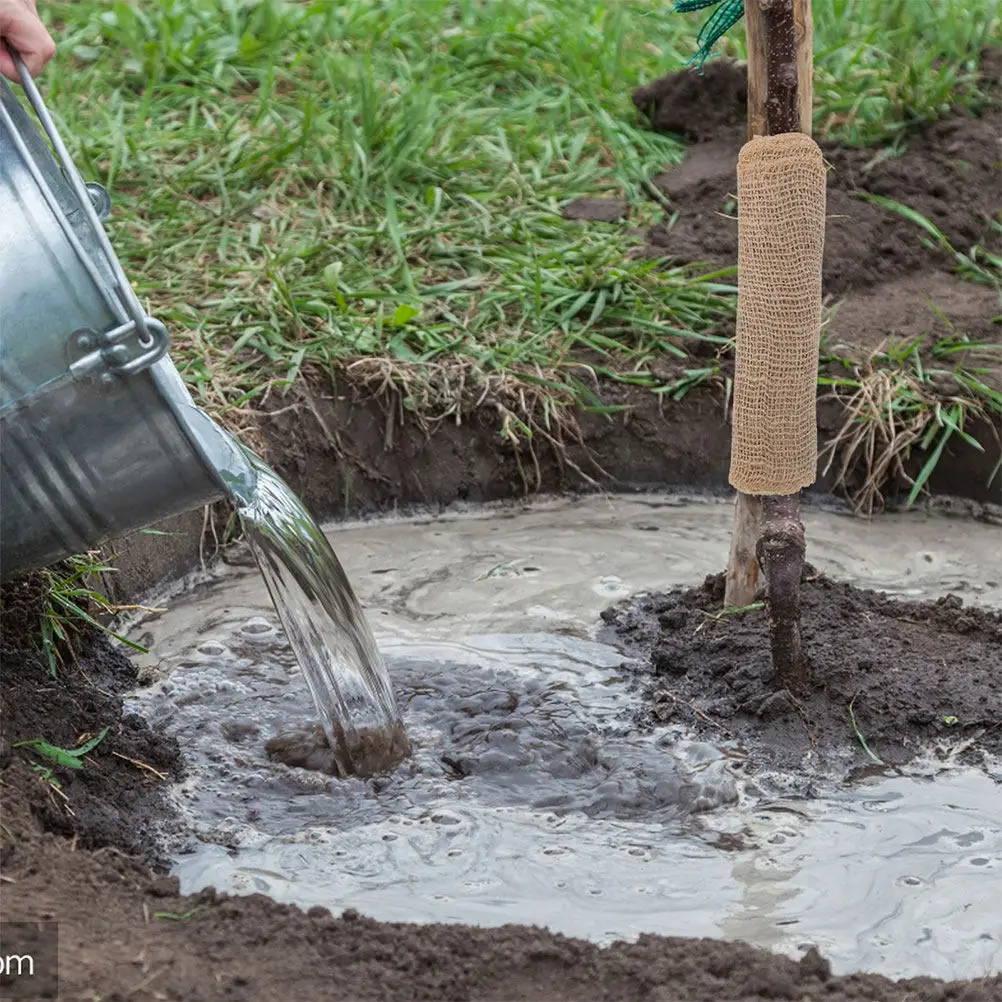 

2 рулона высококачественной защитной пленки для деревьев: зимняя защита от холода, солнца и мороза, для защиты садовых растений