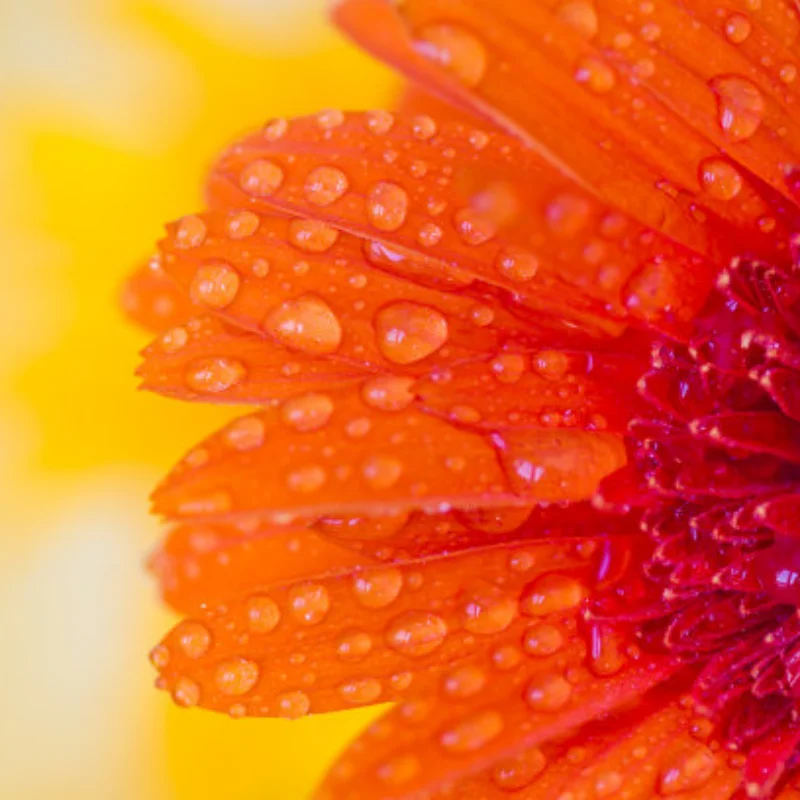 

1 комплект, комплект суппорта для моделирования дискового тормоза для раллийного автомобиля Raytheon 1/7 KM C3 E8414 E8415, аксессуары для обновления радиоуправляемого автомобиля