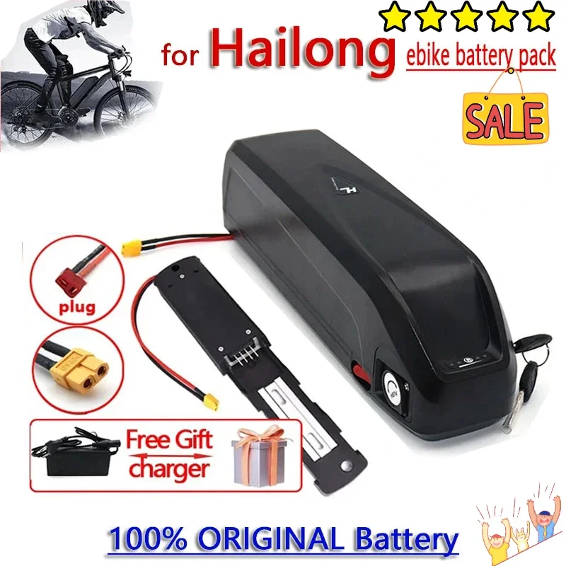 2025 Original 48V 36V 52V 30AH Hailong Ebike Battery 30AH BMS for 350W 500W 750W 1000W Motor and Free Gift Charger