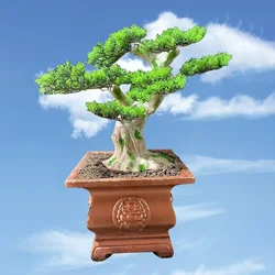 Flower Pot Cement Mold With Thickened Square Bottom and European Square Four Corner Horticultural Decoration