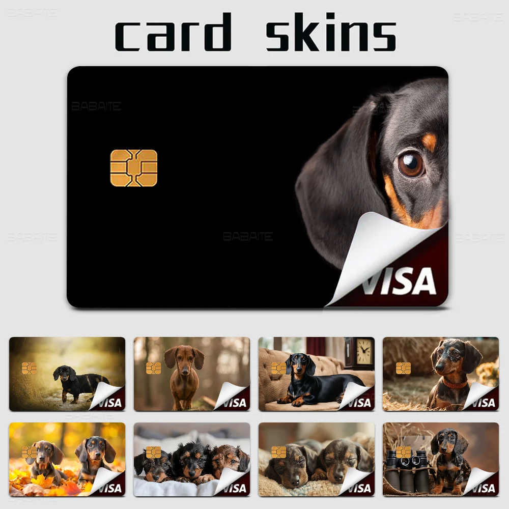 

Dachshunds Credit Card Skin Stickers No Adhesive Residue Water Proof For VISA Credit Card Subway Access Card