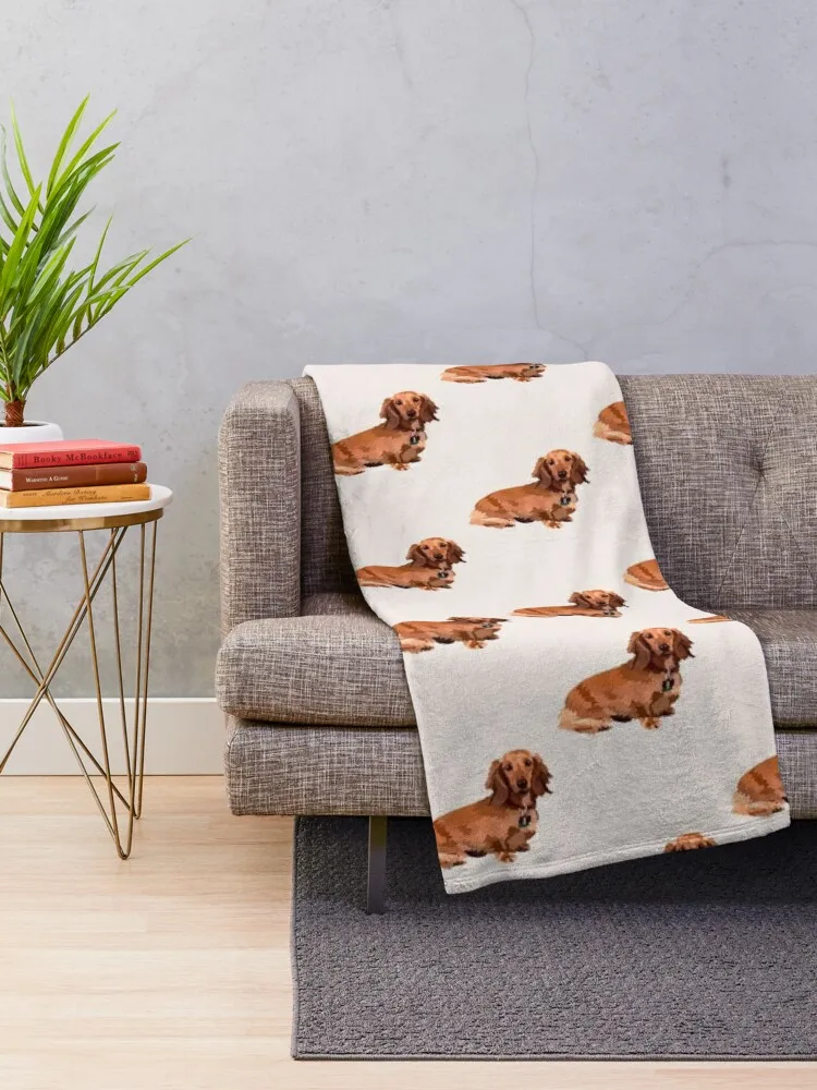 Long haired dachshund Throw Blanket Thin Soft Blankets