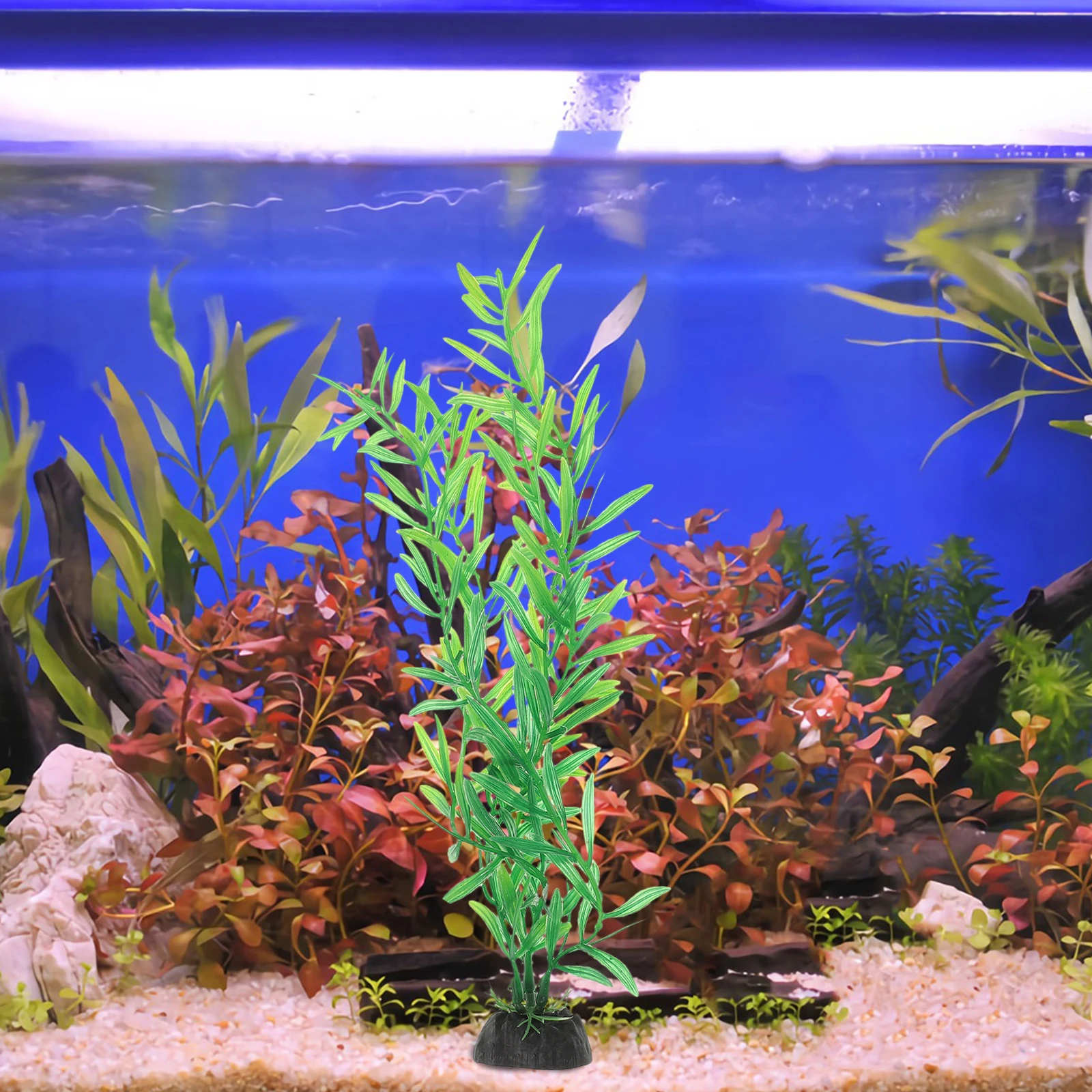 

10 Pcs Plants For Fish Tank Aquatic Plants Plastic Fish Tank Decorations Aquarium Accessories Water Grass ornaments