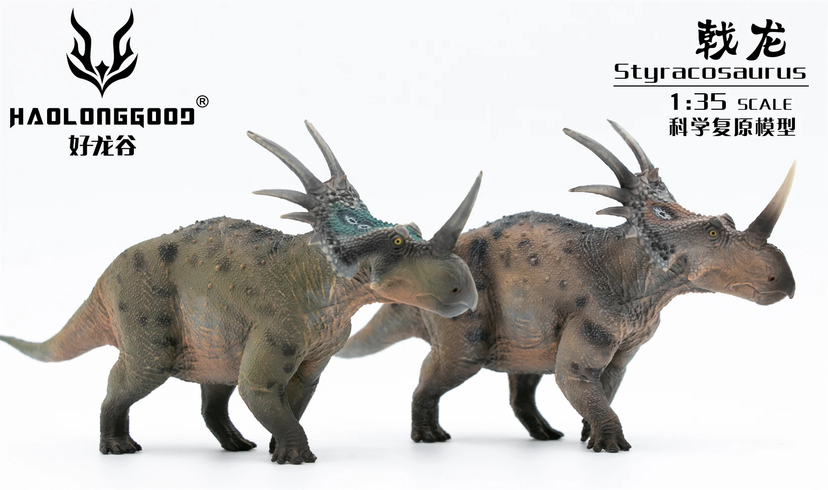 HAOLONGGOOD 1:35 Styracosaurus Model Cerapoda Dinosaur Herbivorous Animal Figure Collection Scene Decoration Birthday Gift