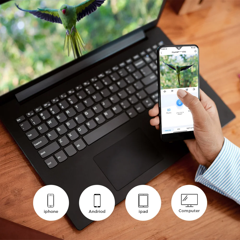 وحدة تغذية الطيور الذكية فائقة الدقة بدقة 3 ميجابكسل لتحديد الطيور ورؤية ليلية صوتية ثنائية الاتجاه 2.4 جيجا هرتز واي فاي وكشف حركة PIR - عشاق الطيور