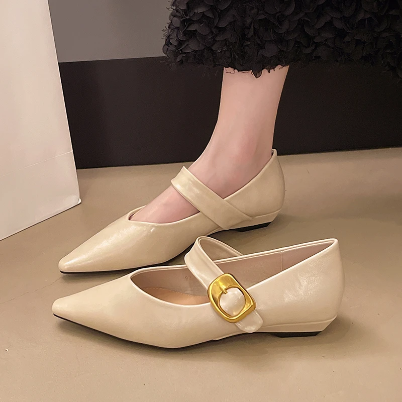 Pointed Mary Jane Single Shoes Women's Spring New Fashion Retro Shallow Mouth Thick Heel Small Leather Shoes