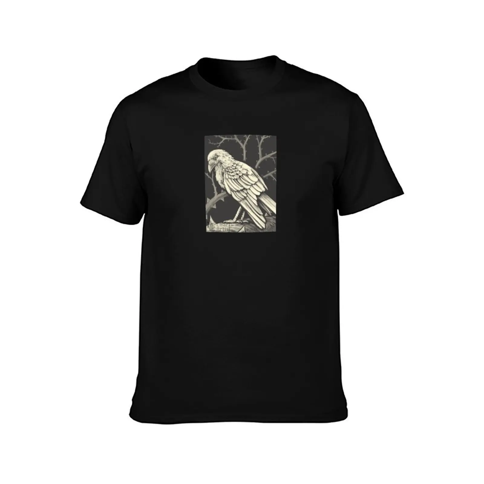 Leucistic Crow - Perch T-Shirt, Summer Casual Cotton Tee, Oversized Streetwear Tops, Vintage Graphic Print, Unisex Men Women