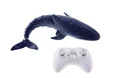 Shark spray blue 1