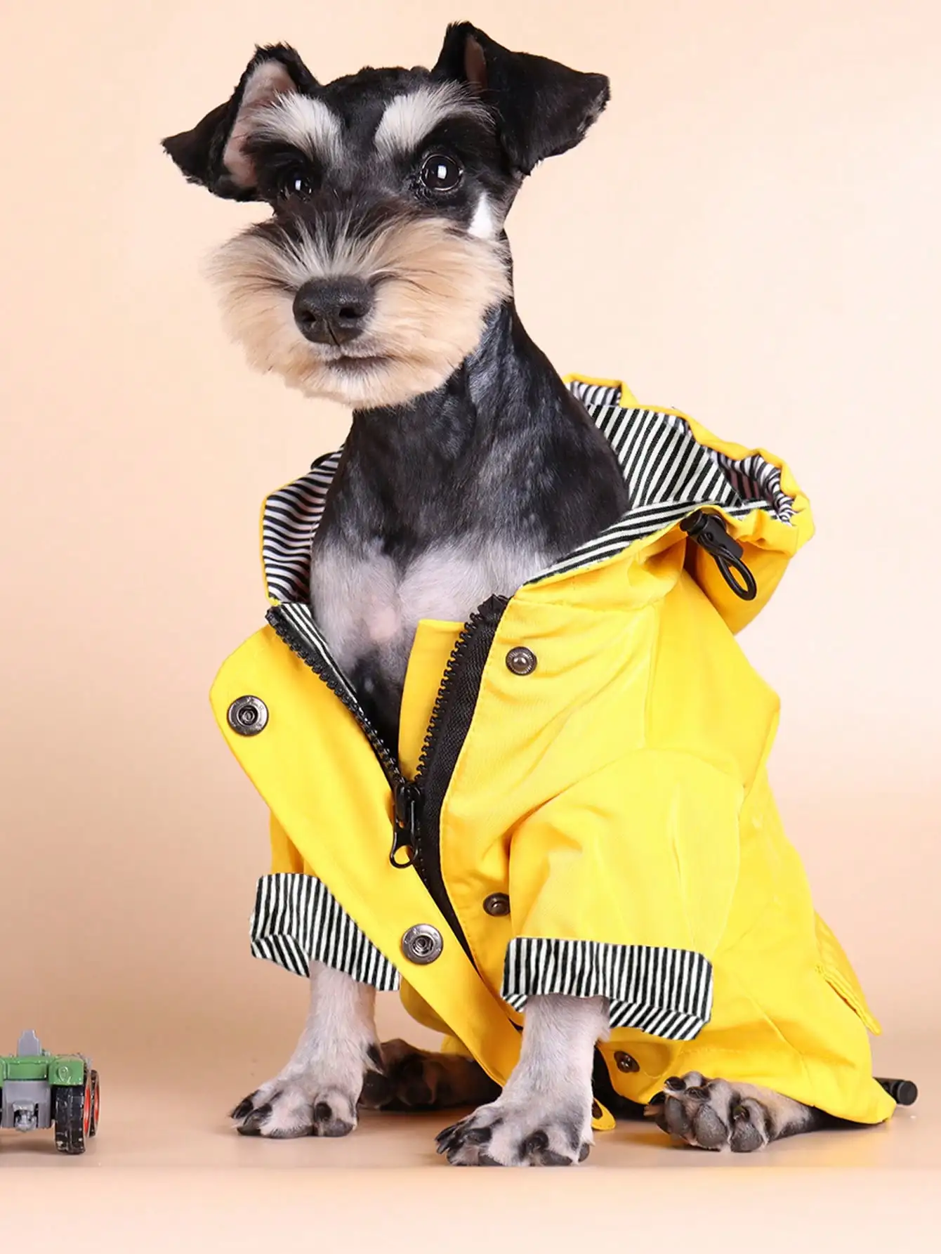 1pc Rainbow Striped Pet Raincoat, Waterproof Outdoor Pet Apparel