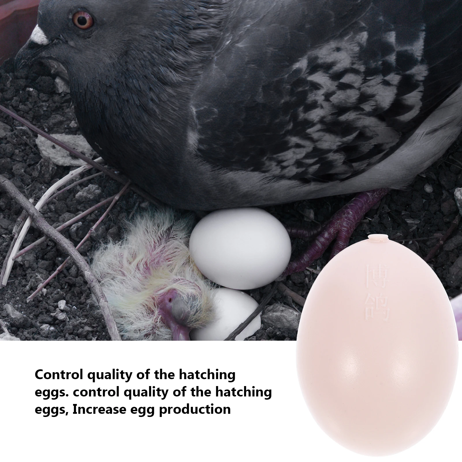 

10 Pcs Artificial Water-filled Fake Pigeon Eggs Where Dummy Dove DIY Crafts Carrier