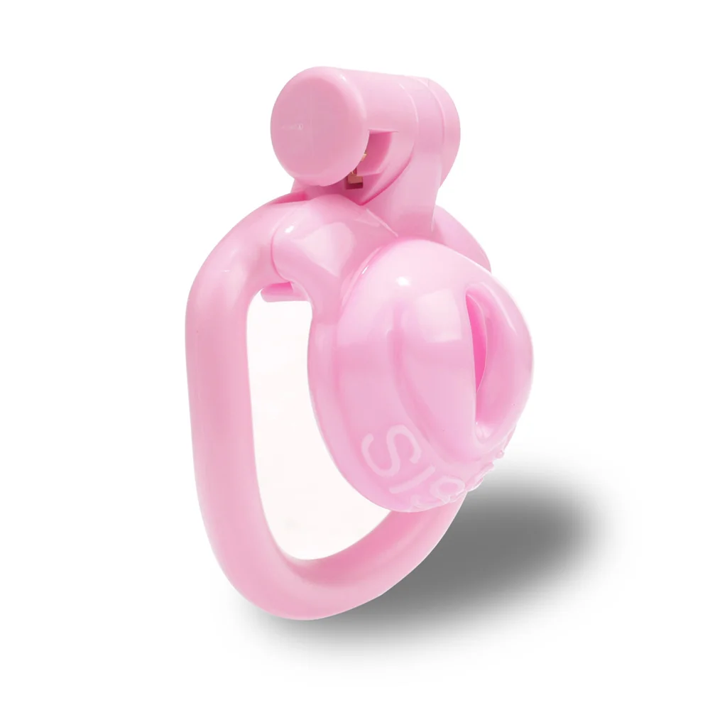 2024 New Sissy Pussy Male Chastity Devices,Positive/Negative Cock Cage,Chastity Lock,Small Penis Cage,BDSM Sex Toys for Man Gay