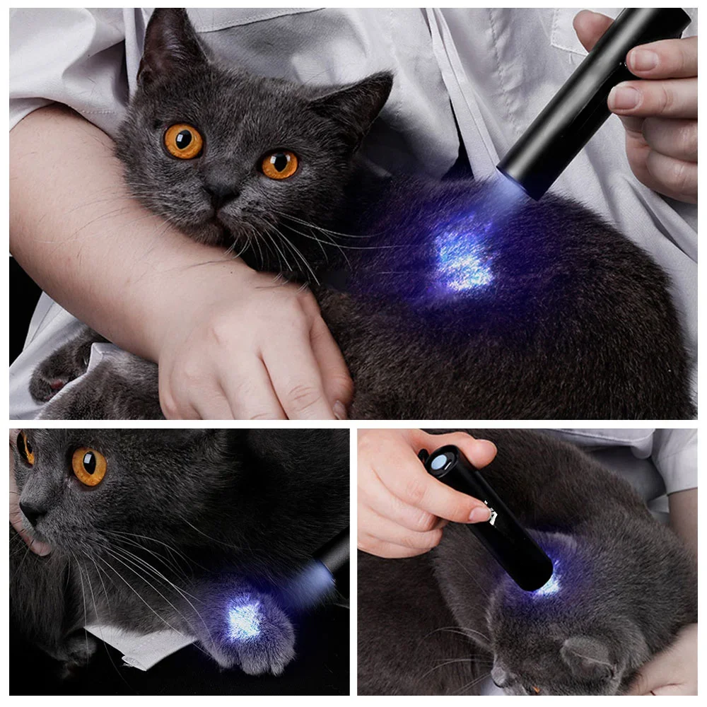 3W 365nm UV Flashlight USB Rechargeable Ultraviolet Torch Pets Urine Cat tinea Money Ore Scorpion Detection Black Light