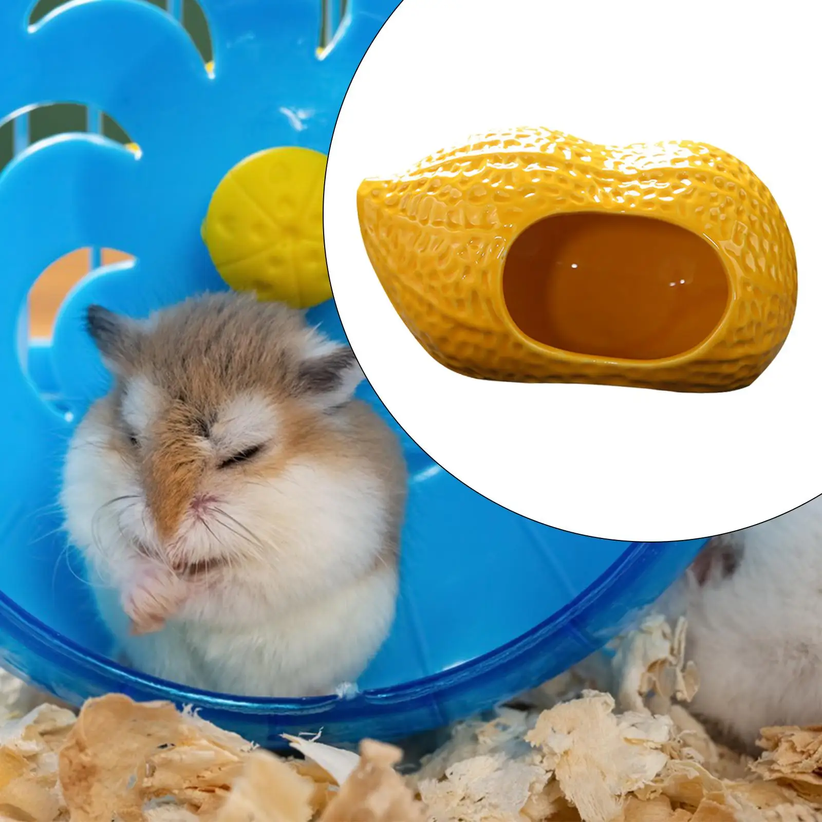 Picture 7: Pottery Hamster House Hideout Hut House for Small Animal Hamster Chinchilla