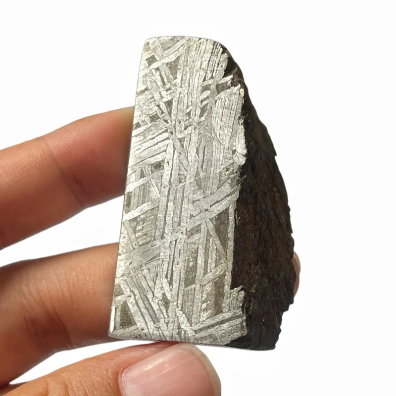 Genuine Muonionalusta Iron Meteorite Half‑Cut Slab, Widmanstätten Veins & Original Fusion Crust for Collectors TC792