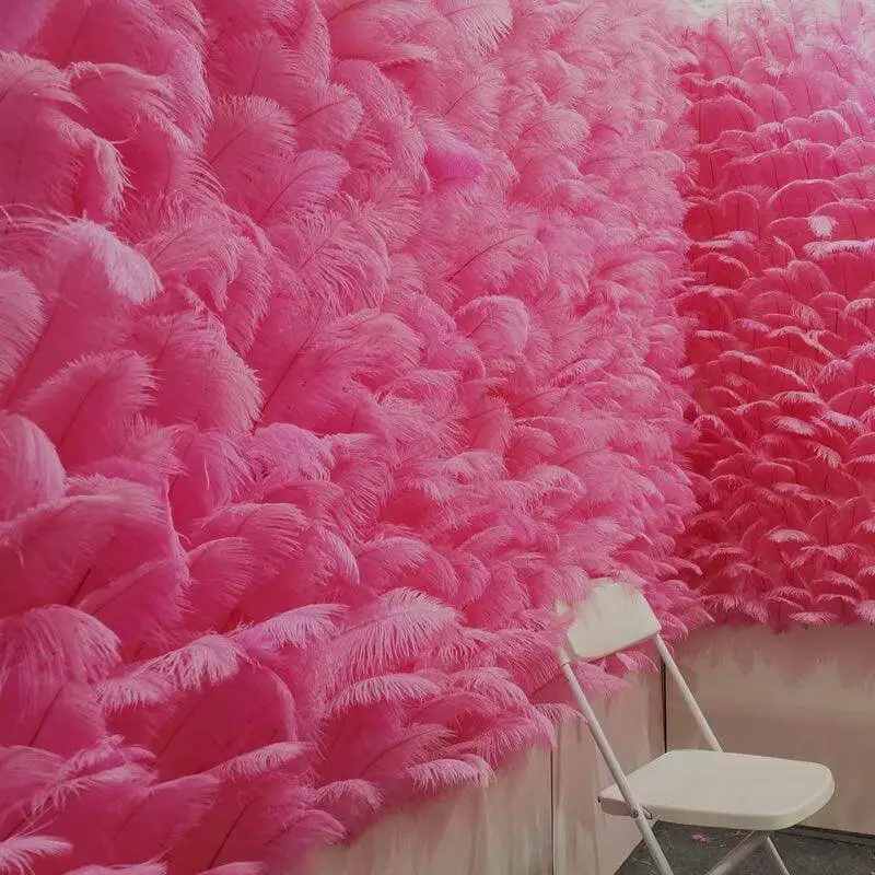 50pcs Dark Pink Ostrich Feathers Bulk for Wedding Party Home Table Centerpiece Ostrich Plume Vases Home Decor Craft Accessories