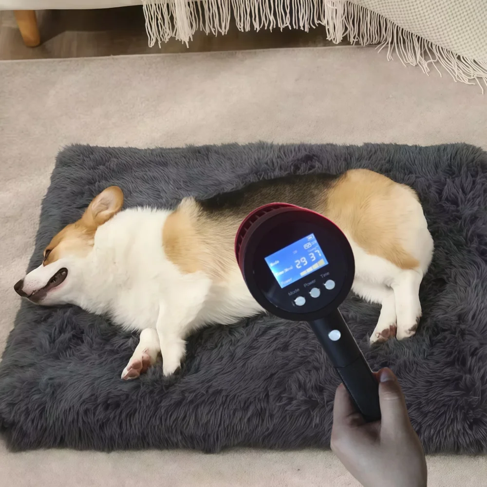 

Class IV High Power Veterinary Therapeutic Laser 808nm 5W Equipment for Cats Dogs Horses Pain Relief & Healing