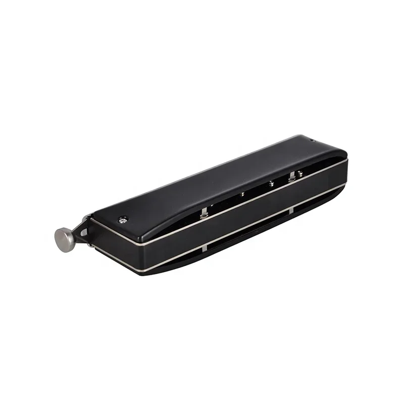 New Upgraded Style Professional Chromatic 12 Hole Harmonica with Hard Plastic Case for Player