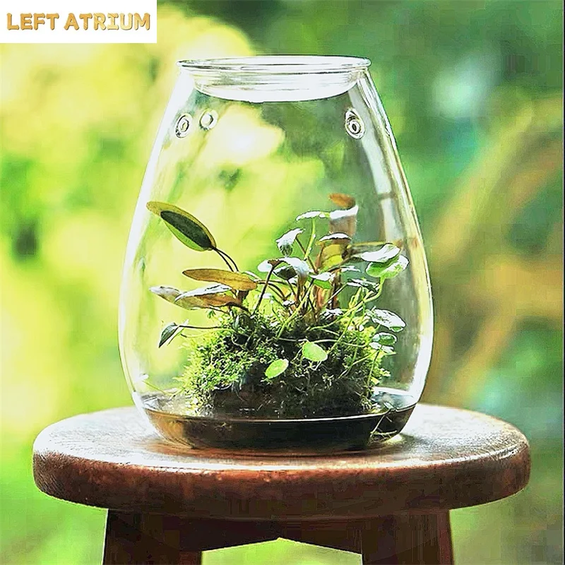 Micro Landscape Glass Bottles With Cover Fresh Green Succulent Moss Bottle Glass Vase Glass Terrarium Bonsai Home Desktop Decor