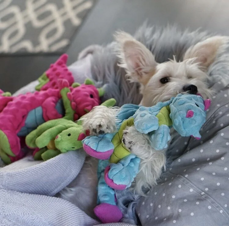 Godog Pet Interacti…