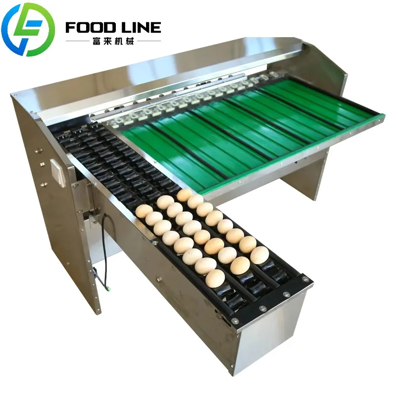 

Food Industry Small Chicken Egg Sorter Grader Egg Weight Grading Egg Sorting Machine by Weight