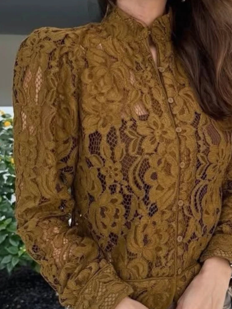 

Sexy Lace Embroidered Slim Fit Blouses Autumn Women Elegant Solid Color Perspective Tops Casual Long Sleeve Commuter T-shirts