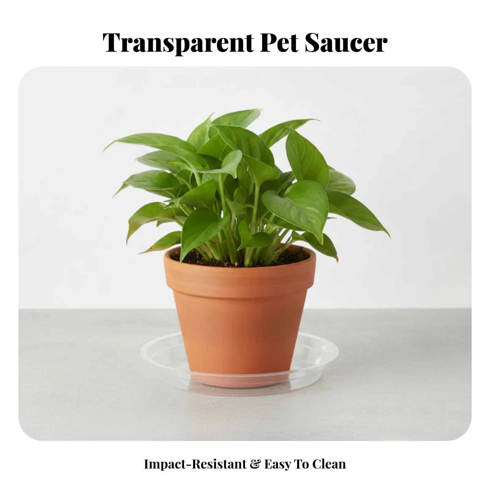Clear PET Plastic Round Plant Saucer Tray for Flower Pots Indoor Outdoor Drip Tray Water Catcher