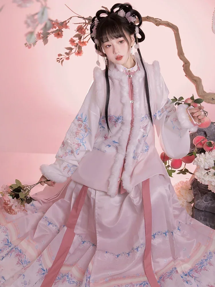 Hanfu de ano novo chinês, bijia da dinastia Ming, bordado tradicional, fantasia de Ma Mian, inverno, 2023