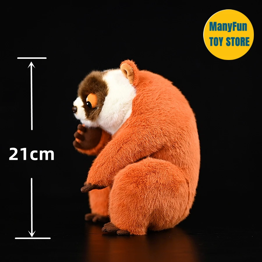 Nycticebus High Fidelity Slow Loris Plushie Monkey Plush Toys Lifelike Animals Simulation Stuffed Doll Kawai Toy Gifts For Kids