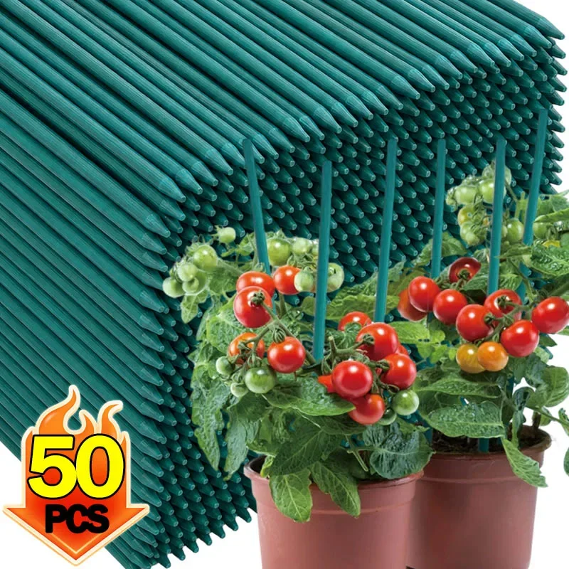 Pflanzenstützstäbe, Bambus-Pflanzenstützen, Tomatenstäbe, Blumenstützen, Kletterpflanzen-Gartenstäbe