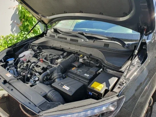 

1 Set Gas Struts for Hyundai Kona Kauai (OS) 2017-2023 Front Hood Bonnet Lift Support Damper Shock Absorber Prop Rods