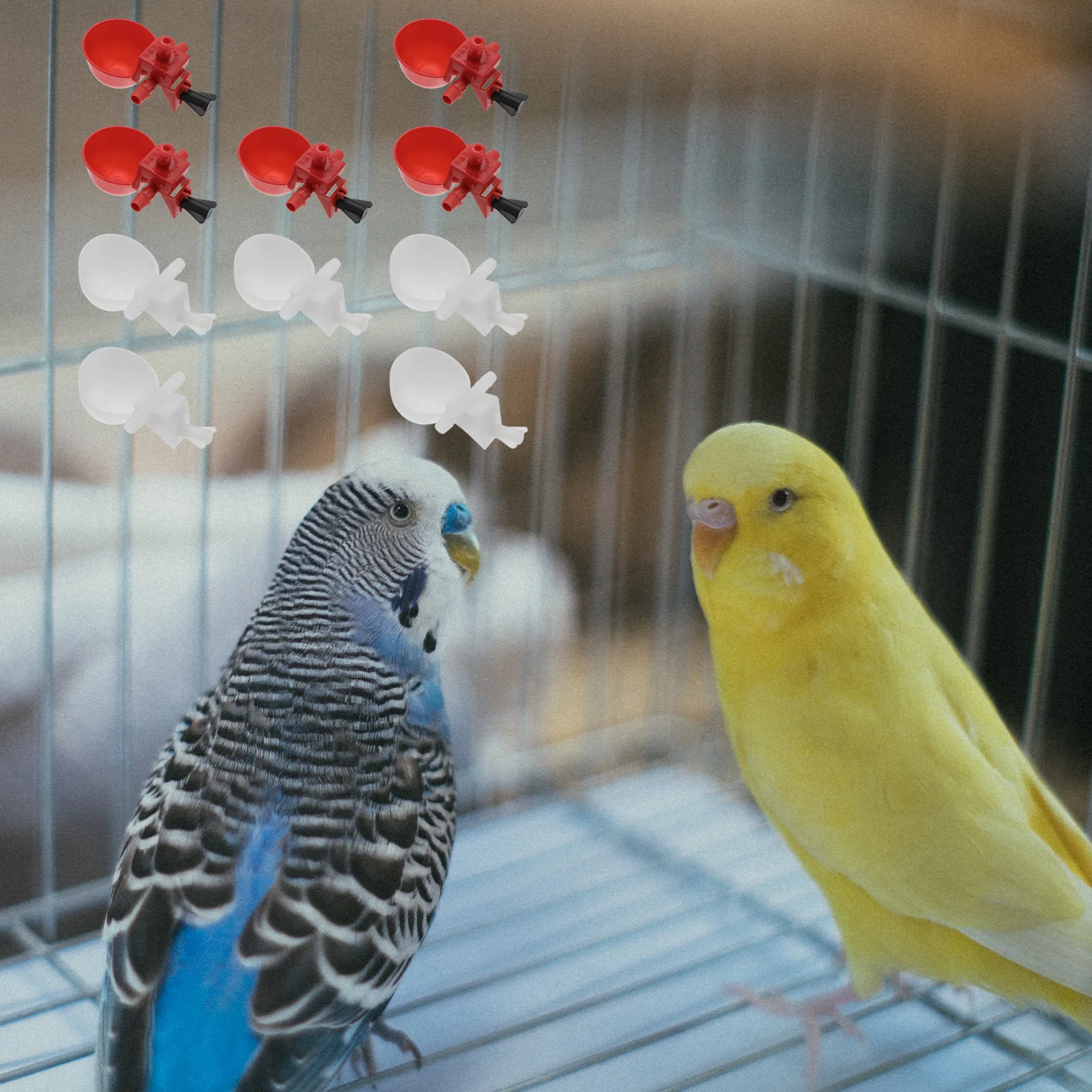 

10Pcs Water Drinker Practical Poultry Drinking Fountain for Chickens Pigeons Quail Durable Pressure Resistant Farm Use