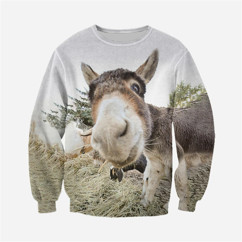 Funny Donkey Sweaters Animal 3D Print Sweatshirts For Men Women Clothing Long Sleeve Pullover New In Hoodies & Sweatshirts 2024