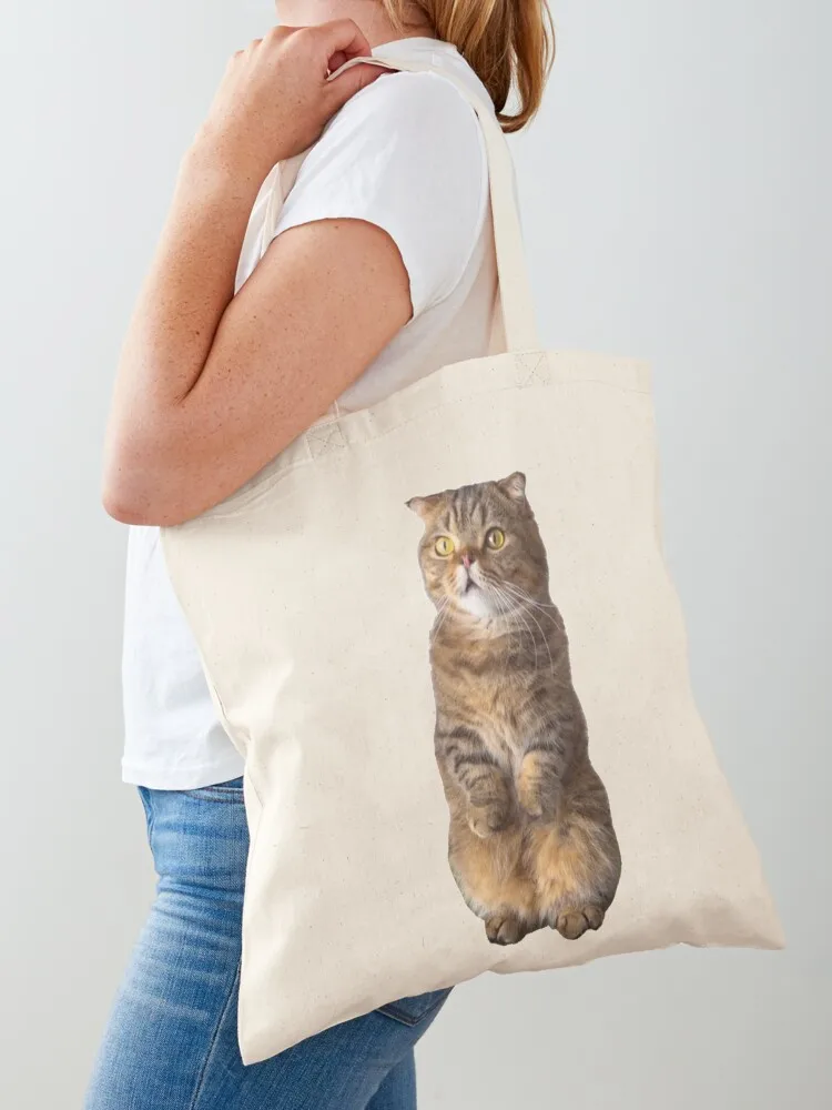 Cute LuLu standing ( Kittisaurus ) Tote Bag Shopper shopper bags canvas tote bags Canvas Tote Bag