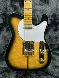 Custom TL Electric Guitar Chrome plated hardware Maple fingerboard fast delivery-free shipping