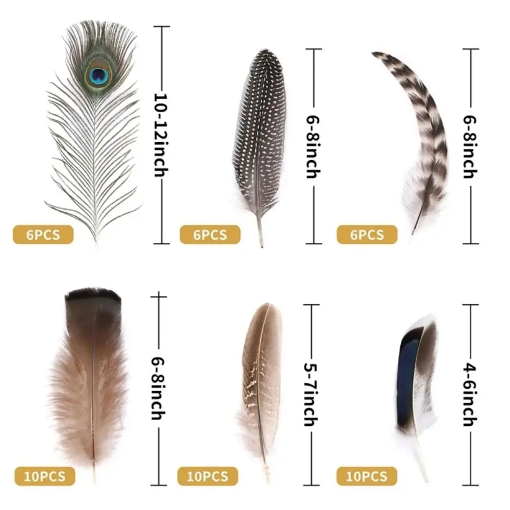 40/48Pcs Assorted Natural Feathers Bulk Long 6 Styles Mixed Feathers Multi-purpose Unique Pattern Pheasant Plumage