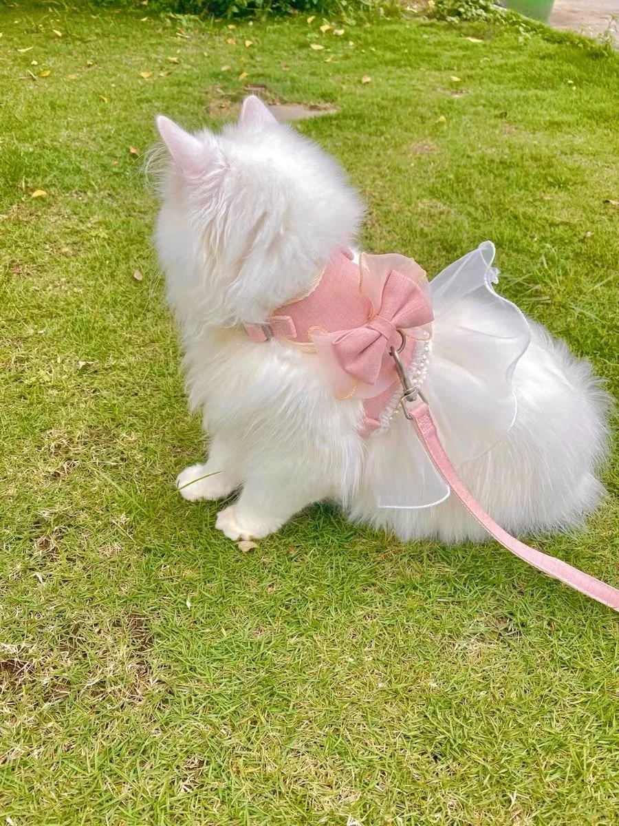 Thumbnail 2 - #84 Best Puppy Harnesses to Buy In 2026