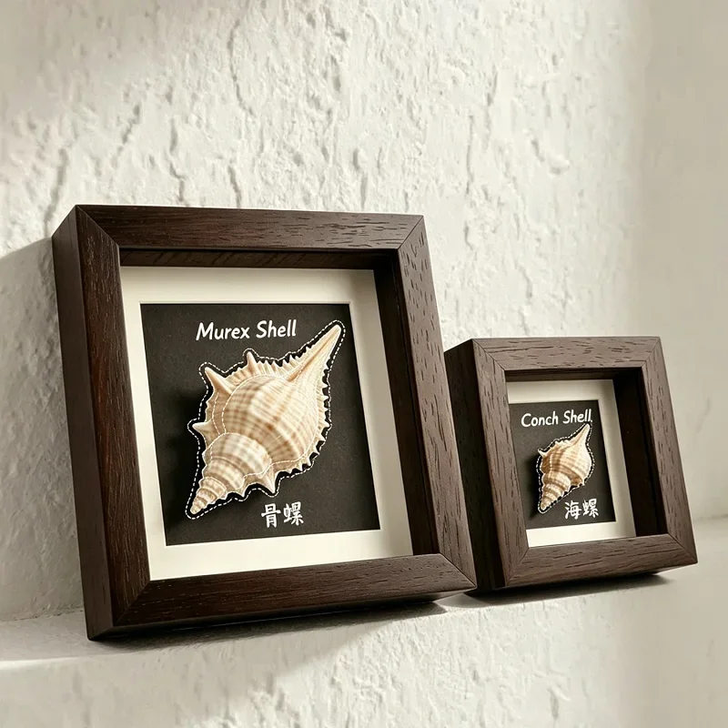 Hollow Solid Wood Photo Frame - Shell Butterfly Dry Flower Specimen Display Frame, Creative Gift Showcase Artwork Frame