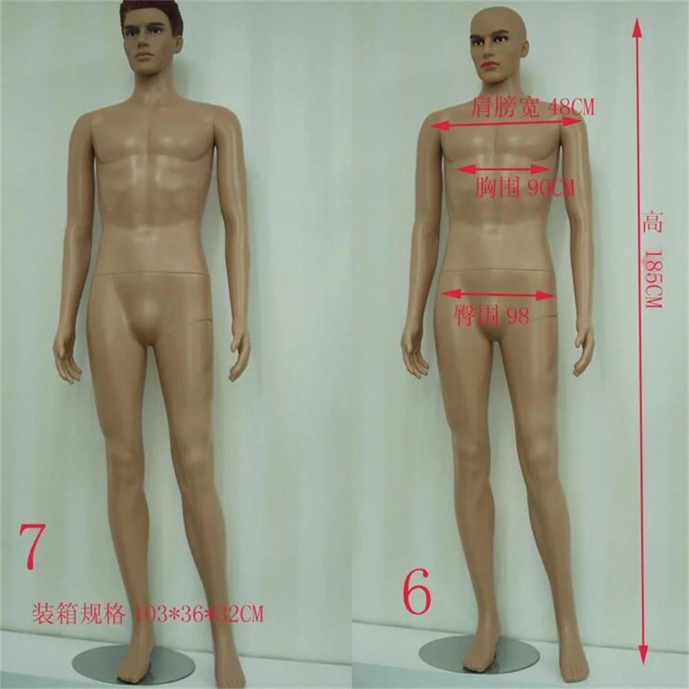 Full Plastic Torso Mannequin for Display, Male Mannequin, Jewelry, Clothes, Realist Body, Sewing, B260, 183cm