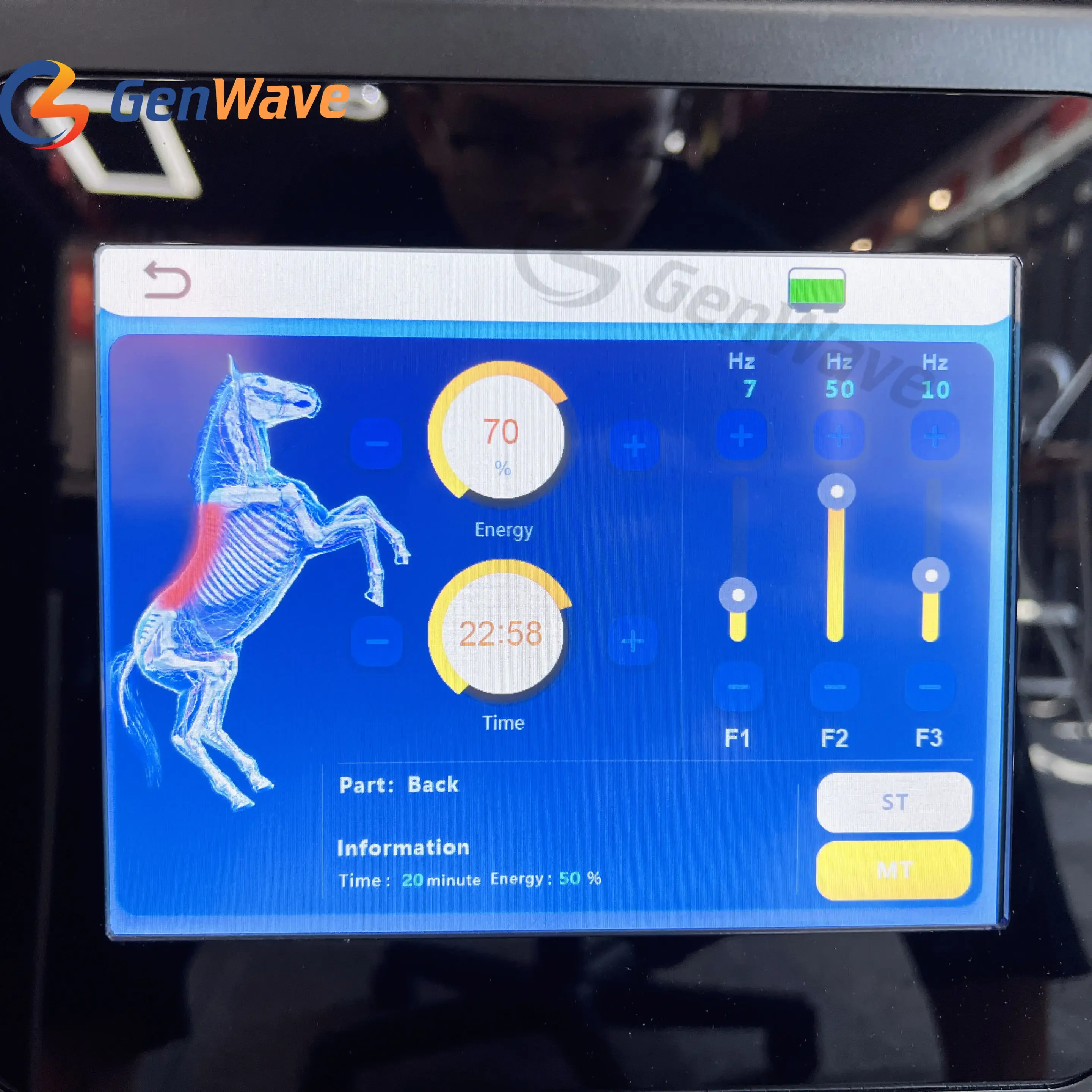 PEMF Horse Magnetic Therapy Device PEMF Horse Pain Relief Machine Physical Pulsed Electromagnetic Field Therapy