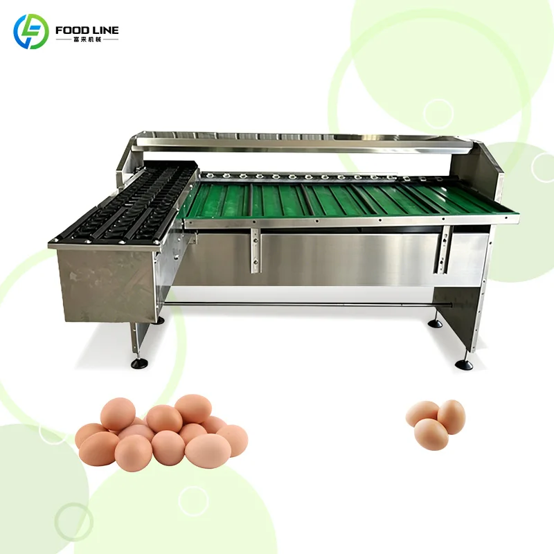 Customized High Precision Automatic Small Egg Weight Grading Sorting Machine With Conveyor Belt Commercial Poultry Egg Weigh