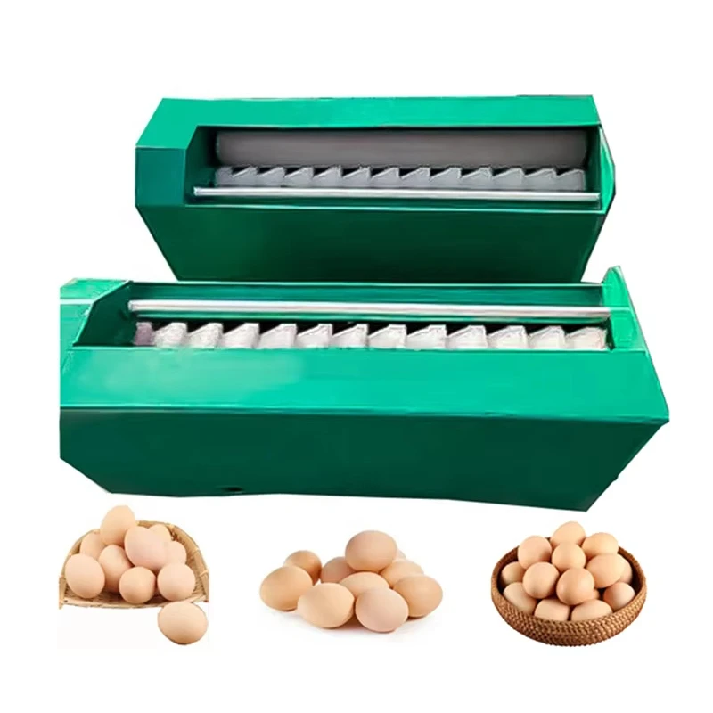 Customized Brush Roller Egg Washing Machine Automatic Chicken Egg Cleaning Equipment For Poultry Farm Egg Processing